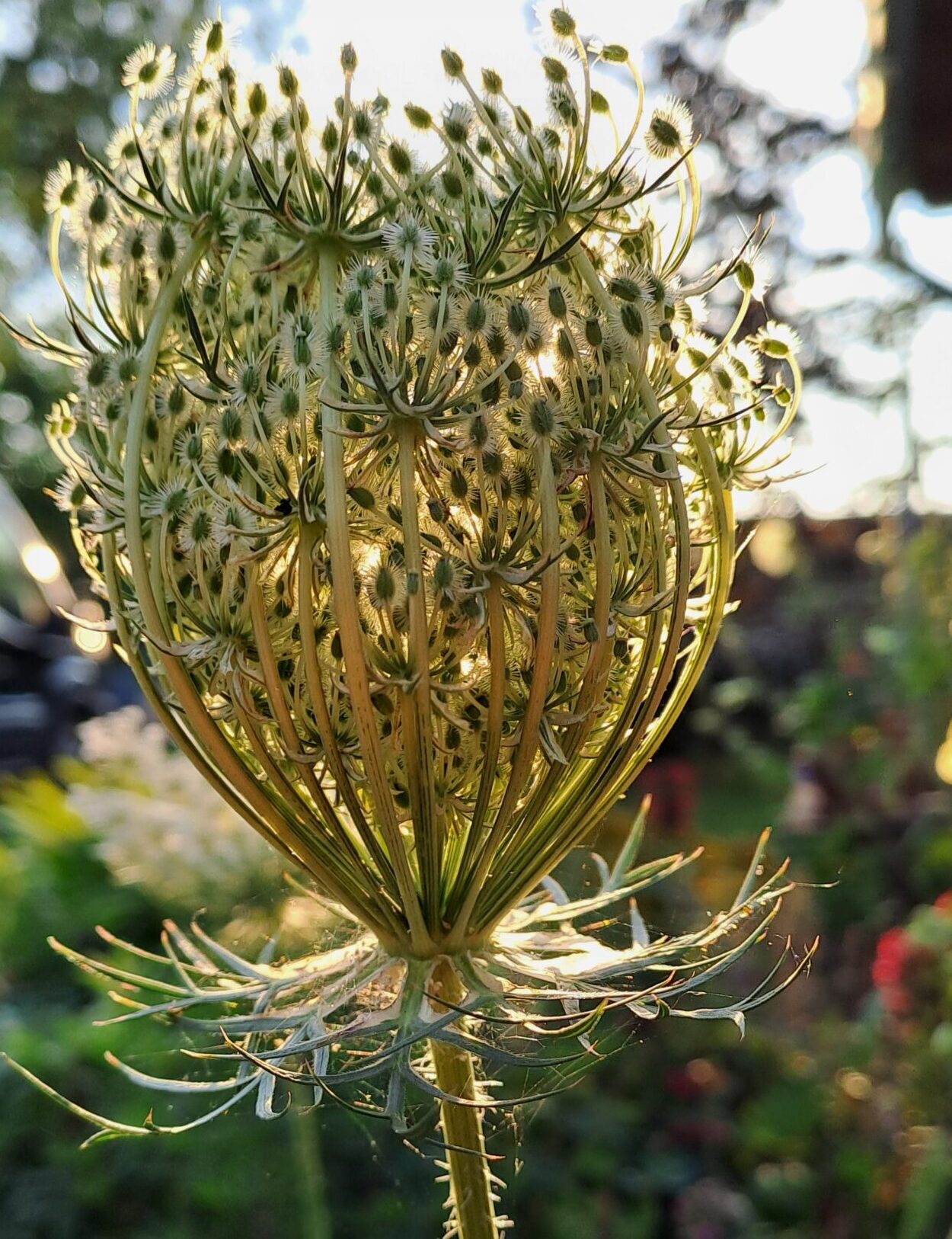 Gestalttherapie Was ist Gestaltberatung