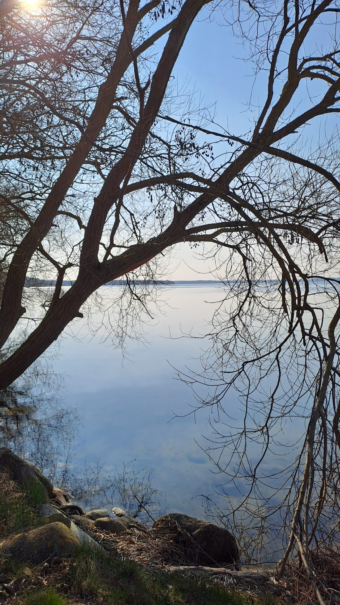 20250321_142316 Therapie für alle Sinne, Therapeutisches Schreiben, Gestaltberatung, Hilfe bei Krisen Potsdam