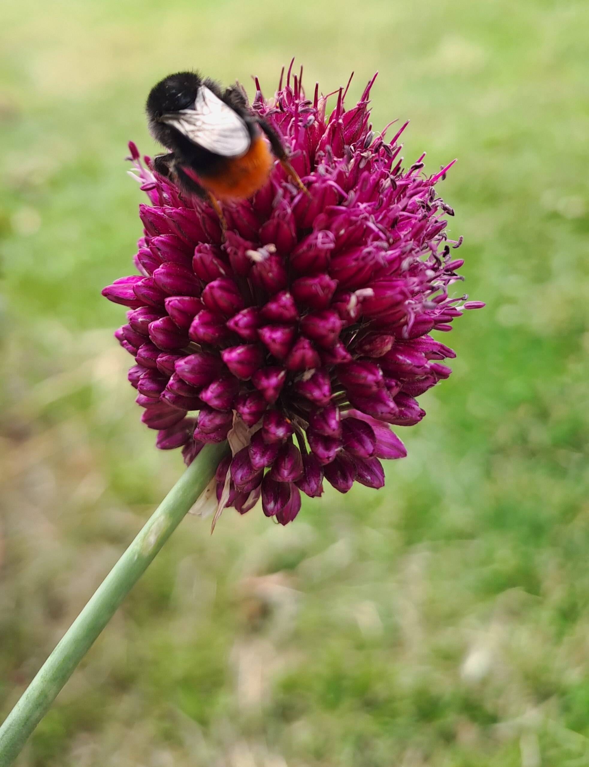 20250710_114033 Therapie für alle Sinne, Therapeutisches Schreiben, Gestaltberatung, Hilfe bei Krisen Potsdam