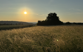 Therapie für alle Sinne mit Therapeutischem Schreiben, Gestalttherapie und enaktiver Traumatherapie