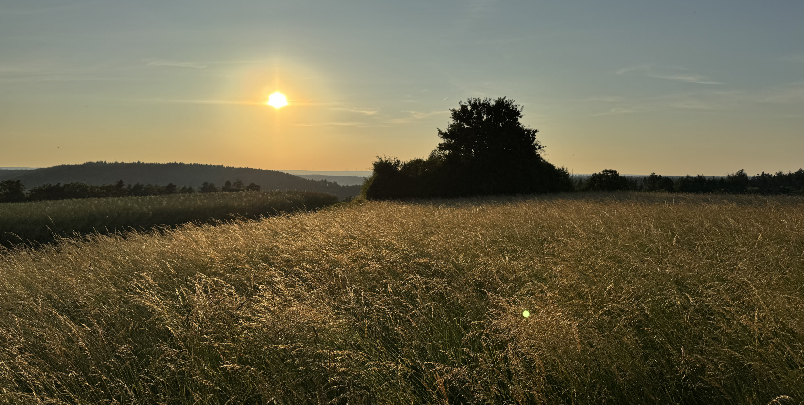 Therapie für alle Sinne_2 Therapie für alle Sinne mit Therapeutischem Schreiben, Gestalttherapie und enaktiver Traumatherapie